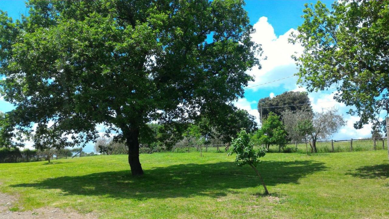 Villa San Filippo Acquapendente Exterior foto